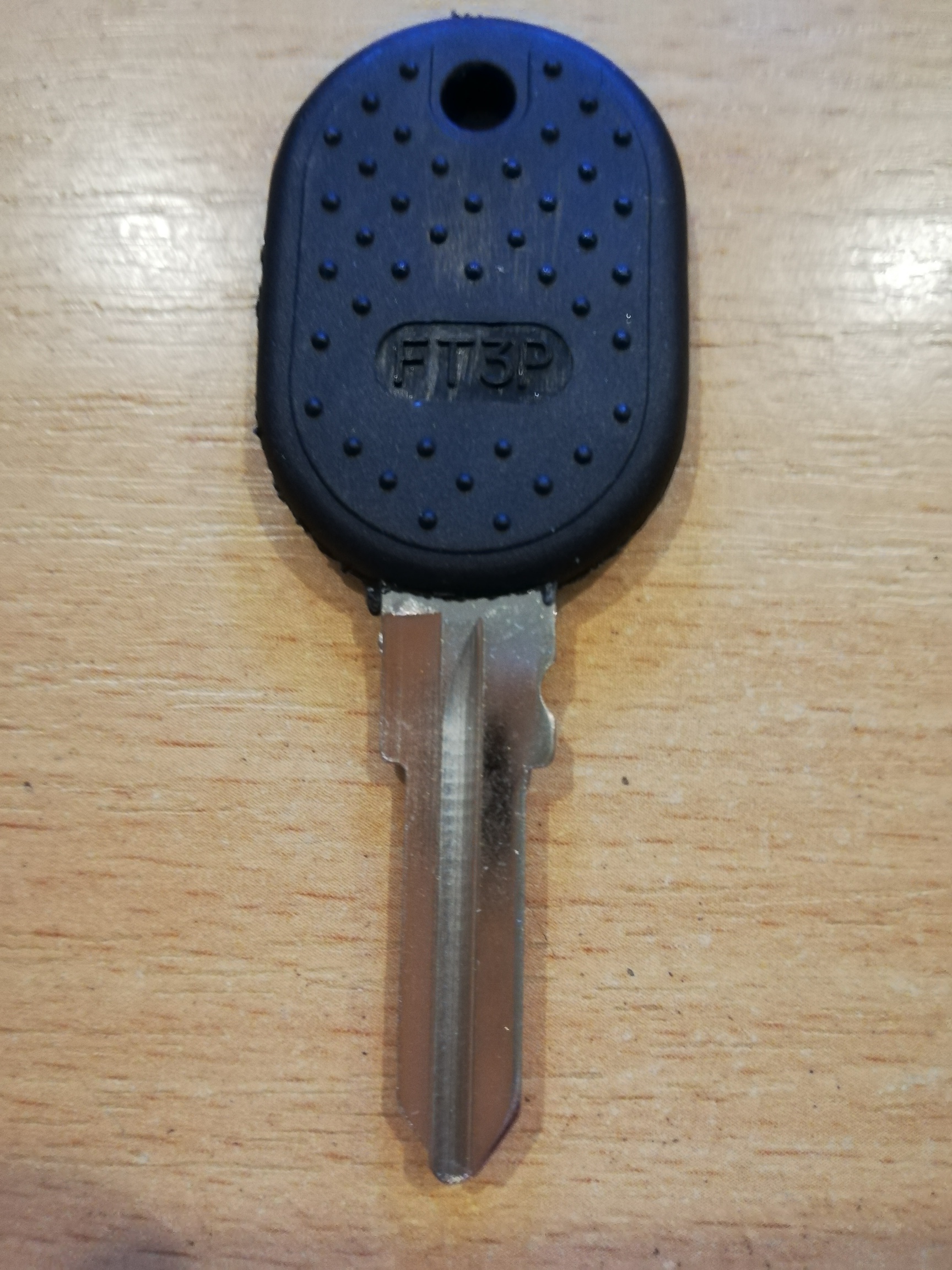 FI3DP1