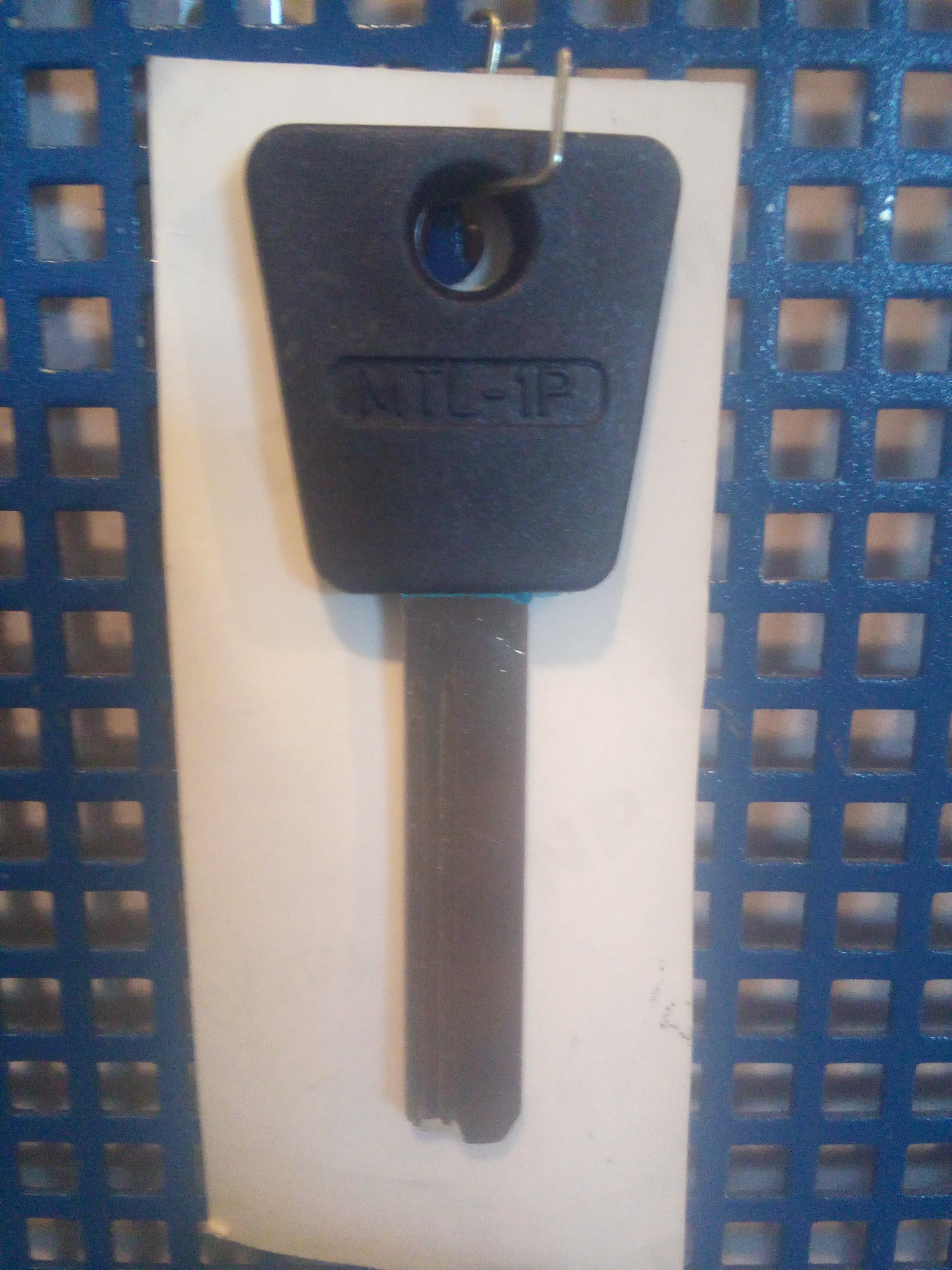 MTL1P