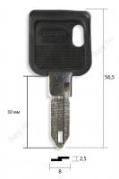 NE55P