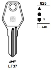 LF37
