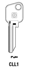 CLL1