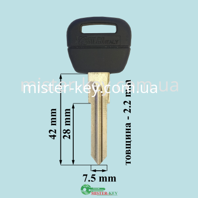 NE71RDP
